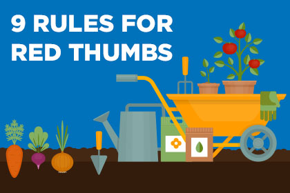 9 Ways to Glove Up for a Round of Gardening