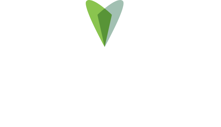 VitalSight Remote Patient Monitoring logo