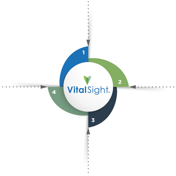 VitalSight process graphic