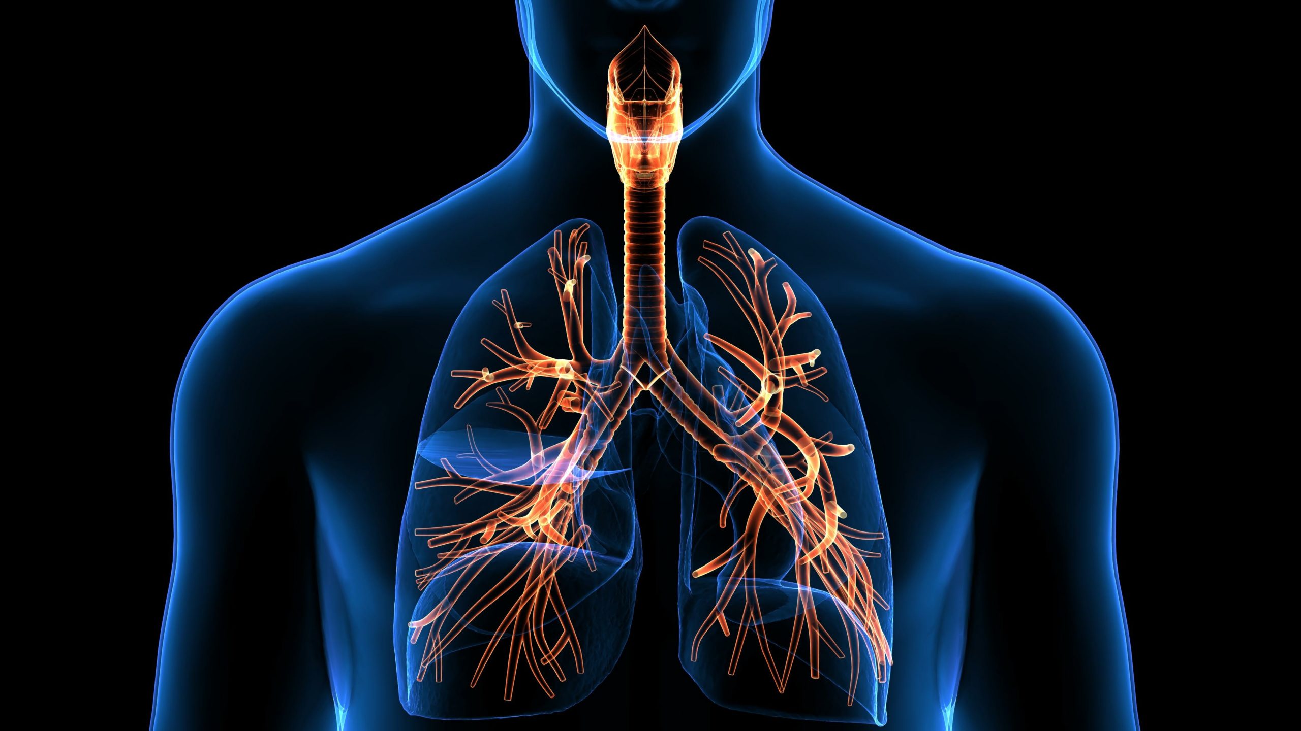 Lung Bronchial X-ray